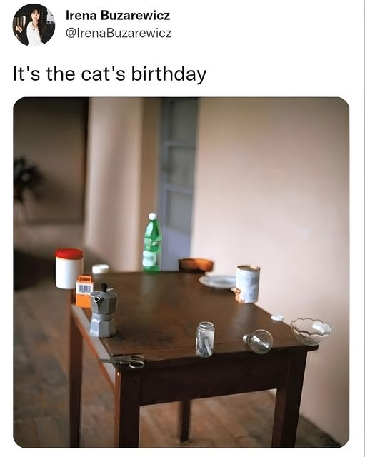 its  the cat's birthday