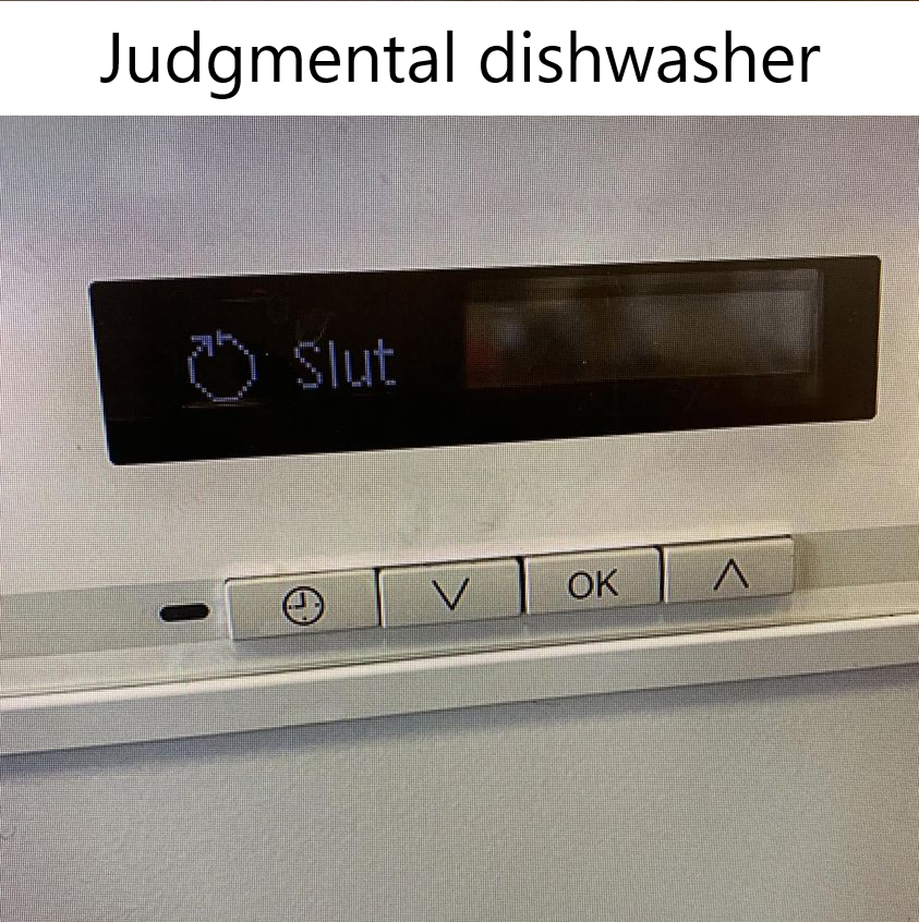 Judgmental dishwasher - Slut