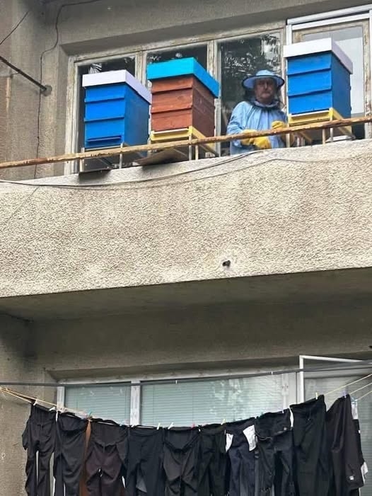 Just a normal day in Kyustendil, Bulgaria