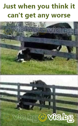 Just when you think it can't get any worse