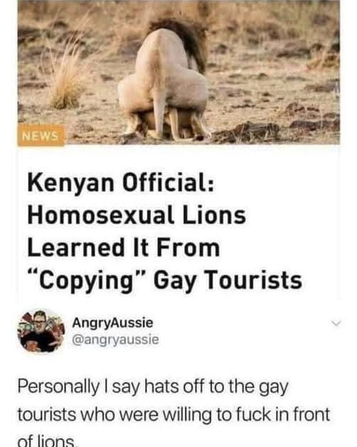 Kenyan Official: Homosexual Lions Learned It From “Copying” Gаy Tourists  Personally I say hats off to the gay tourists who were willing to fuck in front of linne