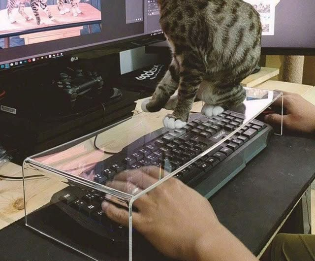 Keyboard attachment for cat owners
