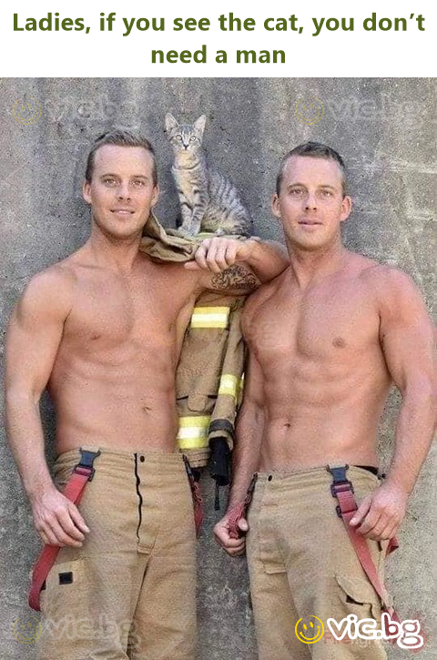 Ladies, if you see the cat, you don’t need a man