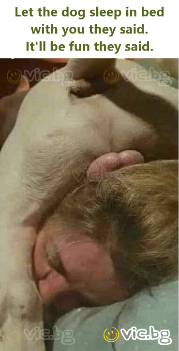 Let the dog sleep in bed with you they said. It'll be fun they said.