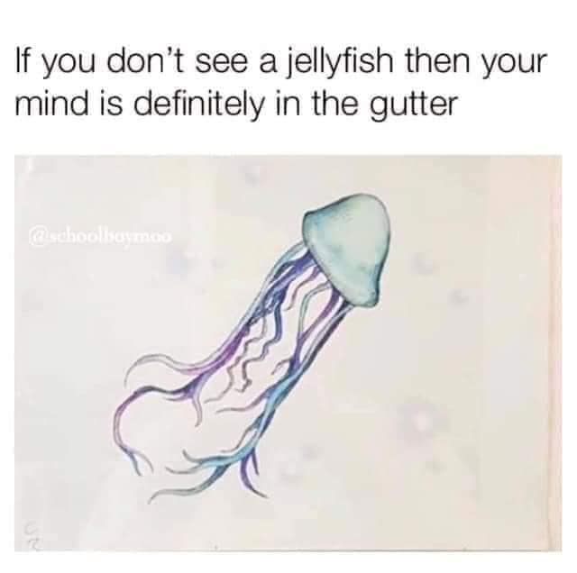 lf уоu don't see а jellyfish then your mind is definitely in the gutter