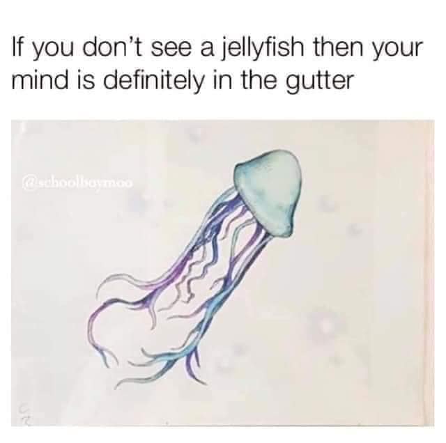 lf уоu don't see а jellyfish then your mind is definitely in the gutter<br />