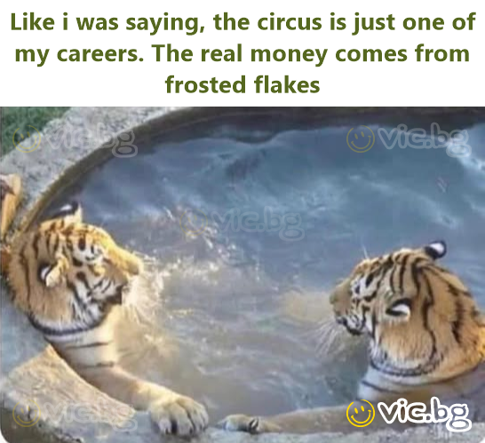Like i was saying, the circus is just one of my careers. The real money comes from frosted flakes