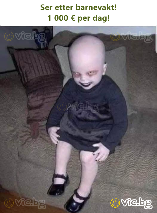 Looking for a babysitter! €1,000 a day!