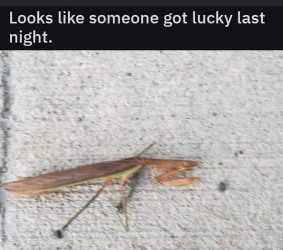 Looks like someone got lucky last night