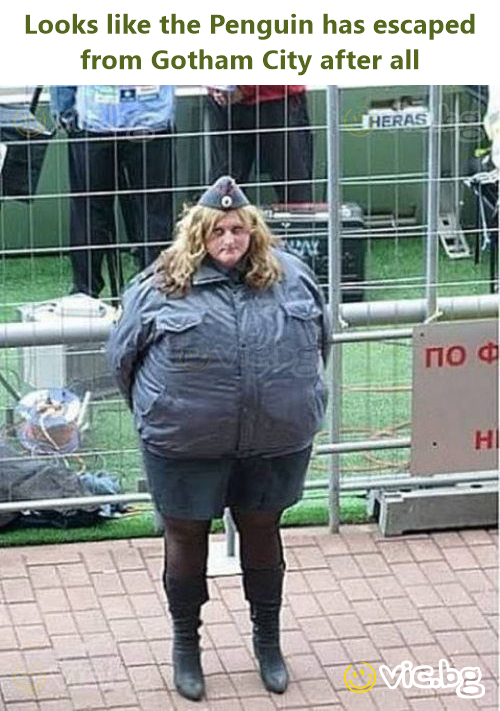 Looks like the Реnguin has escaped from Gotham City after all