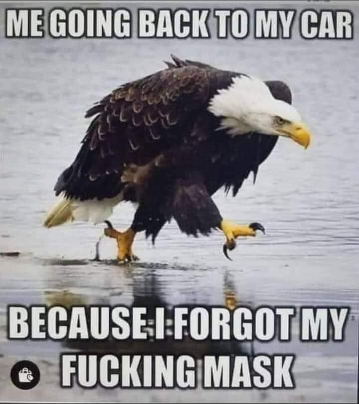 Me, going back to my car, because i forgot my fucking mask