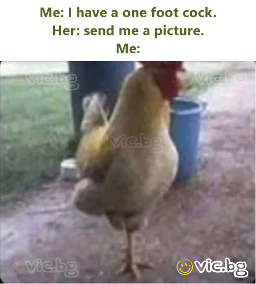 Me: I have a one foot cock. Her: send me a picture. Me: