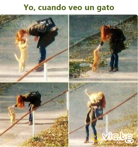 Me, when I see a cat