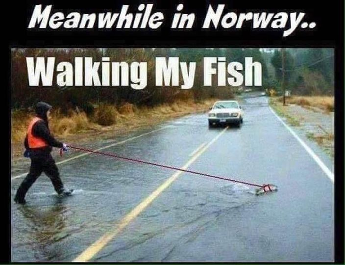 Meanwhile in Norway.. Walking My Fish