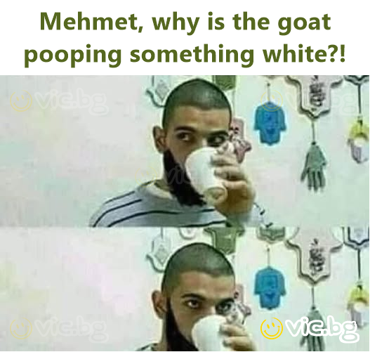 Mehmet, why is the goat pooping something white?!