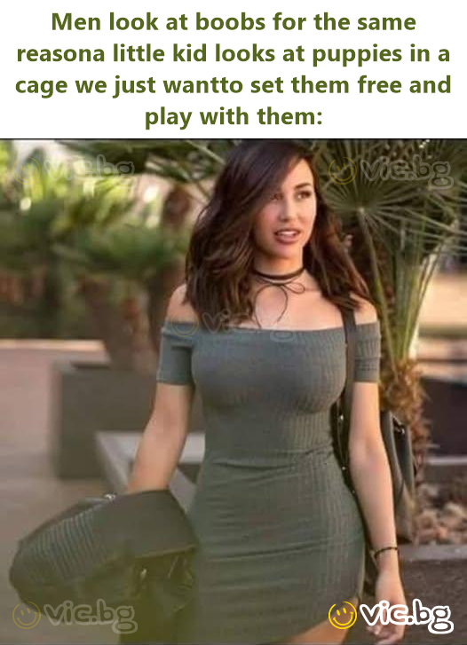 Men look at boobs for the same reasona little kid looks at puppies in a cage we just wantto set them free and play with them: