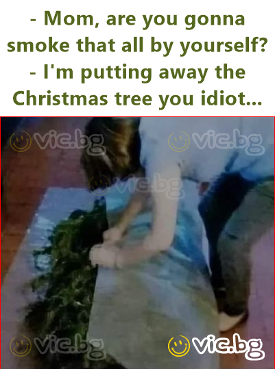 - Mom, are you gonna smoke that all by yourself?  - I'm putting away the Christmas tree you idiot...