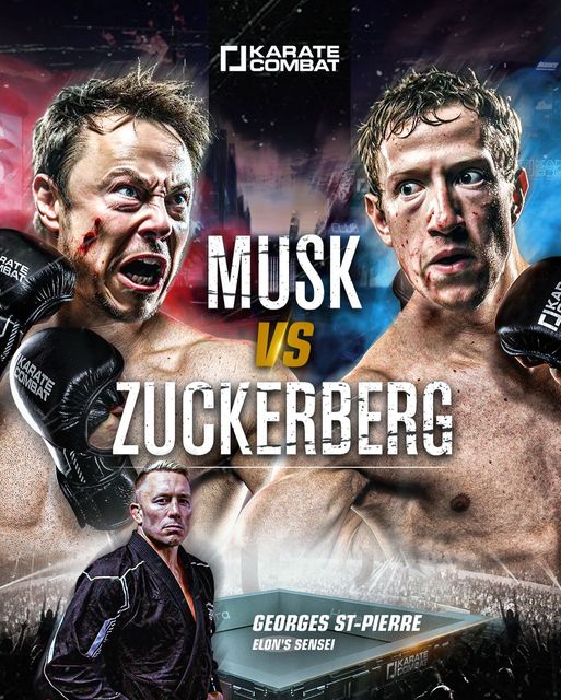 Musk vs Zuckerberg combat with Georges St. Pierre, Elon's sensei