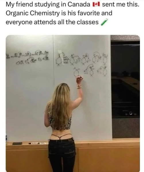My friend studying in Canada sent me this. Organic Chemistry is his favorite and everyone attends all the classes