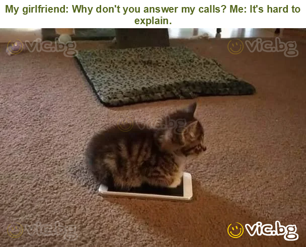 My girlfriend: Why don't you answer my calls? Me: It's hard to explain.