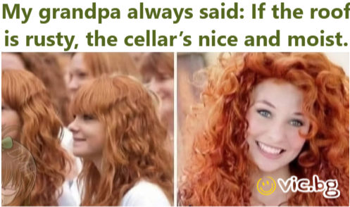 My grandpa always said: If the roof is rusty, the cellar’s nice and moist.