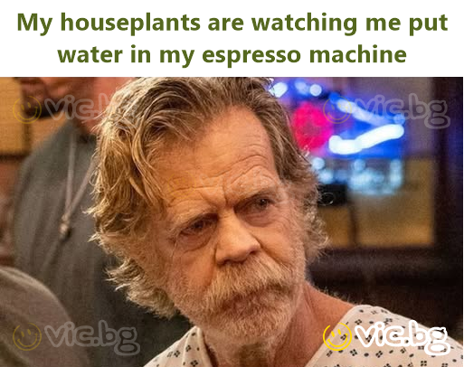 My houseplants are watching me put water in my espresso machine