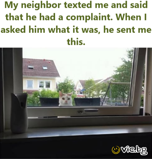 My neighbor texted me and said that he had a complaint. When I asked him what it was, he sent me this.