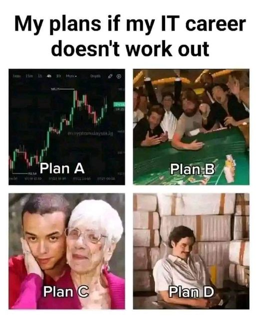 My plans if my IT career doesn't work out. Plan A.	 Plan B . Plan C. Plan D.