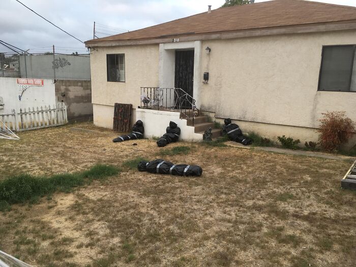 Neighbor’s Subtle Halloween Decor