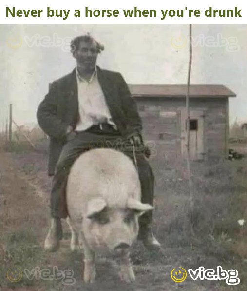 Never buy a horse when you're drunk