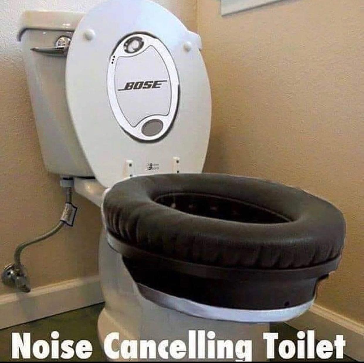 Noise cancelling toilet