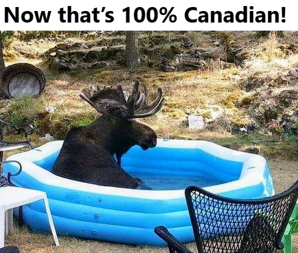 Now that's 100% Canadian!