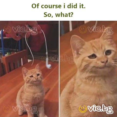 Of course i did it.  So, what?