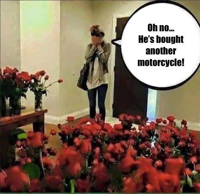 Oh no...He's bought another motorcycle!