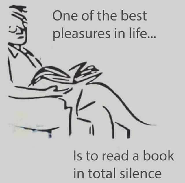One of the best pleasures in life, Is to read a book in total silence