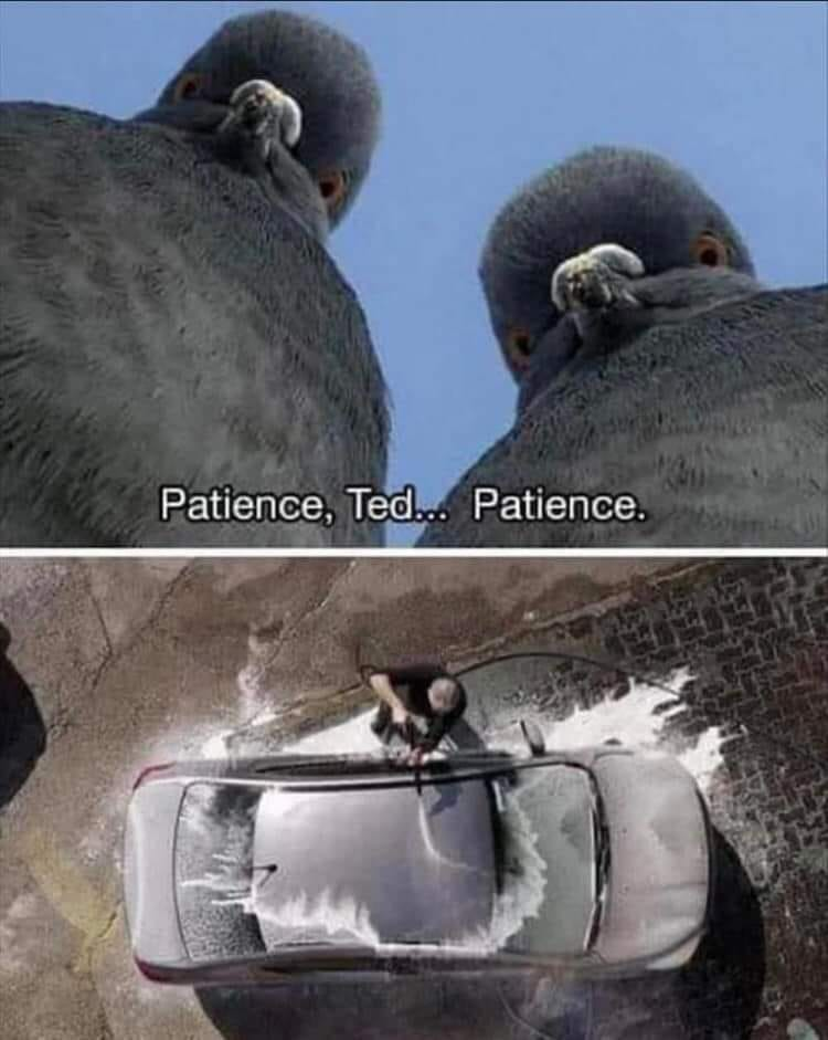 Patience, Ted.	Patience.