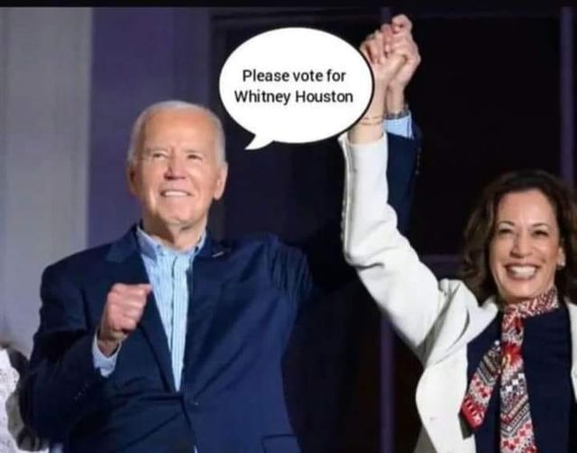 Please vote for Whitney Houston