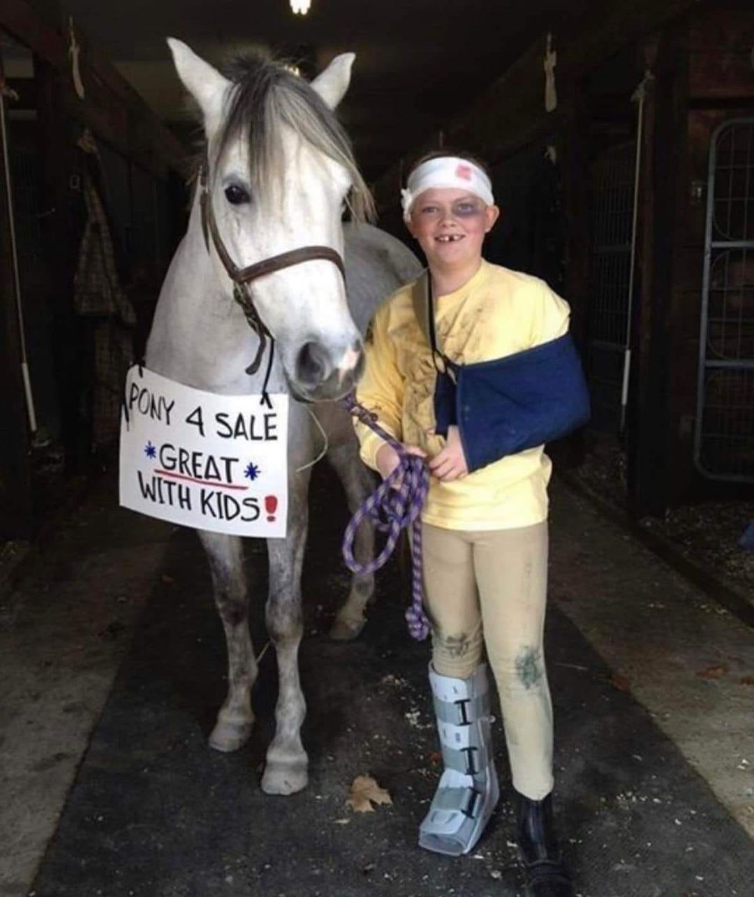 Pony 4 sale  Great with kids