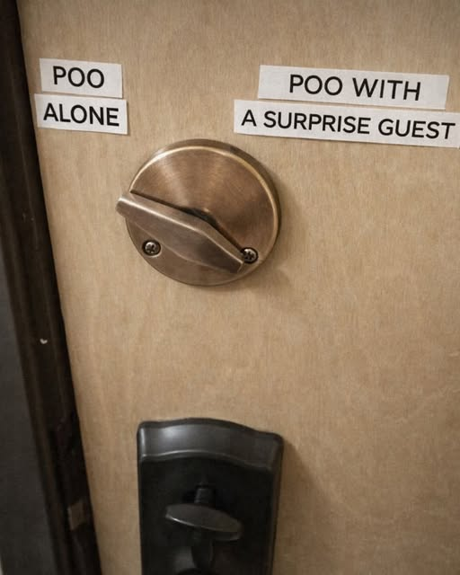 Poo alone.
Poo with surprise guest.