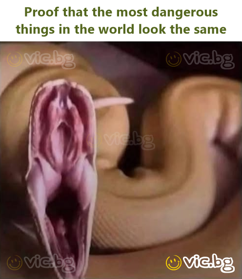 Proof that the most dangerous things in the world look the same