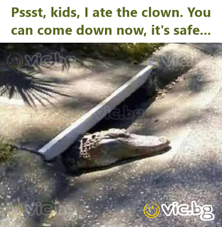 Pssst, kids, I ate the clown. You can come down now, it's safe...