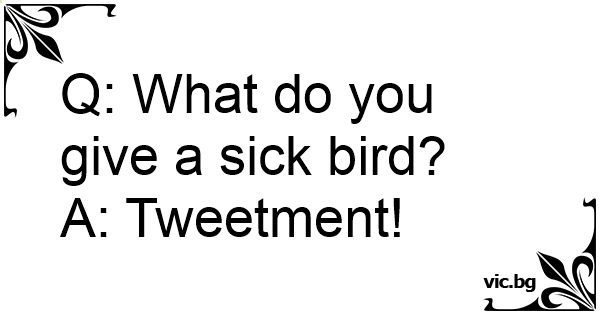 q-what-do-you-give-a-sick-bird-a-tweetment