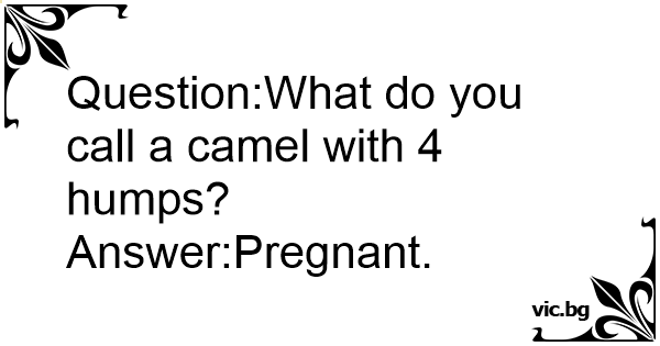 Question:What do you call a camel with 4 humps?