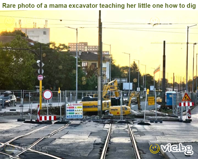 Rare photo of a mama excavator teaching her little one how to dig