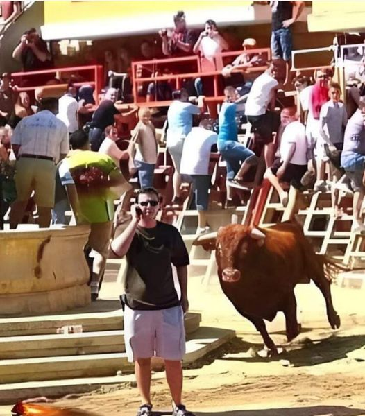 Red bull about to give him wings...