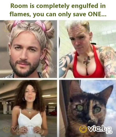 Room is completely engulfed in flames, you can only save ONE...