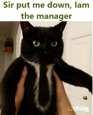 Sir put me down, Iam the manager
