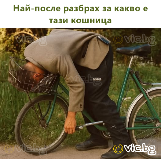 So that's why bicycle baskets are installed
