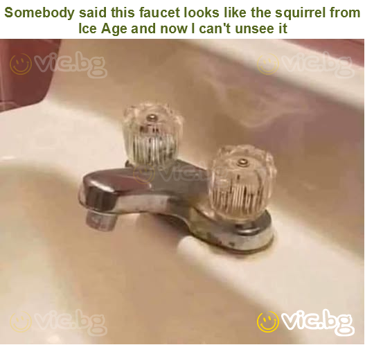 Somebody said this faucet looks like the squirrel from Ice Age and now I can't unsee it