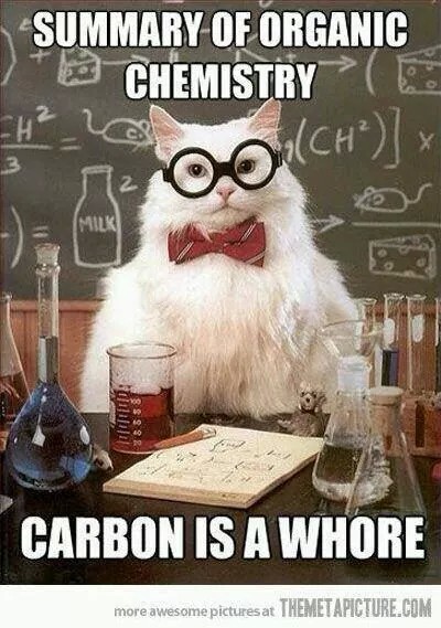 Summary of organic chemistr Carbon is a whore